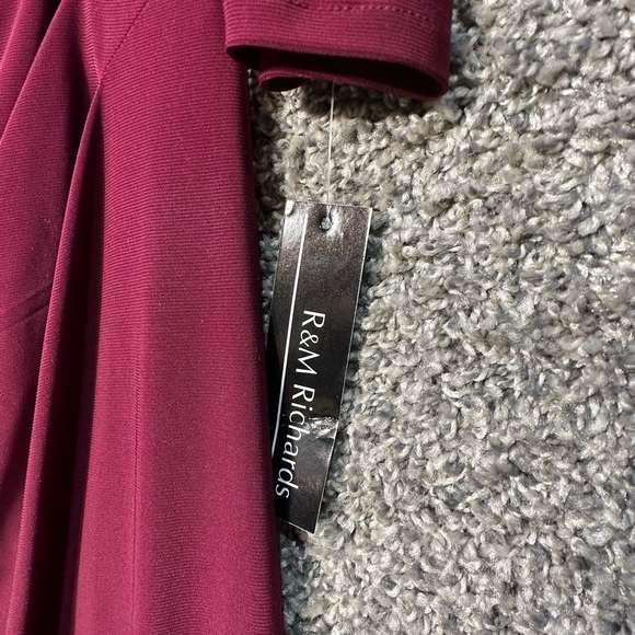 NWT R&M Richards Long Empire Waist Chiffon Gown w/ Cowl Bodice Size 10 - Picture 4 of 6